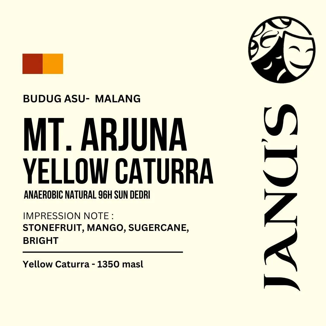 Roasted Beans Arabica - Arjuna Yellow Caturra Anaerob Natural 96H